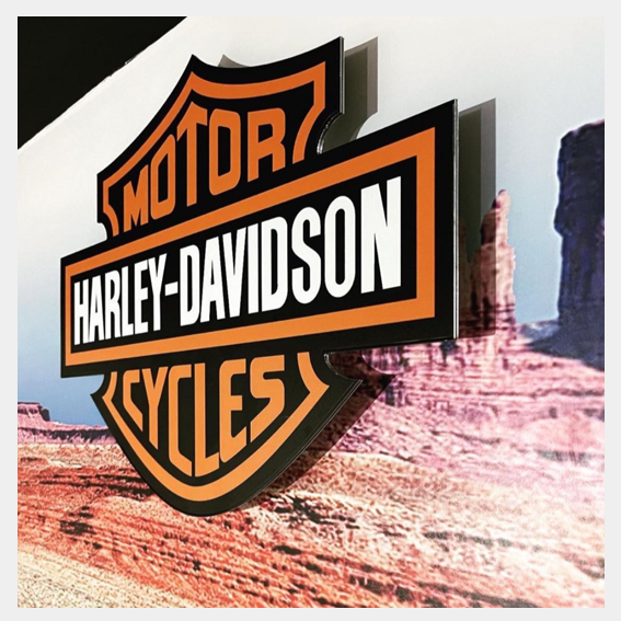 HARLEY DAVISON